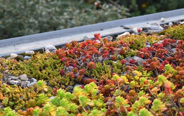 the cost of West Hill green roof installation