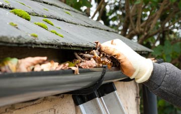 gutter cleaning West Hill